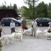 Tatry 2009