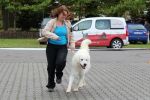 brian2011rijen